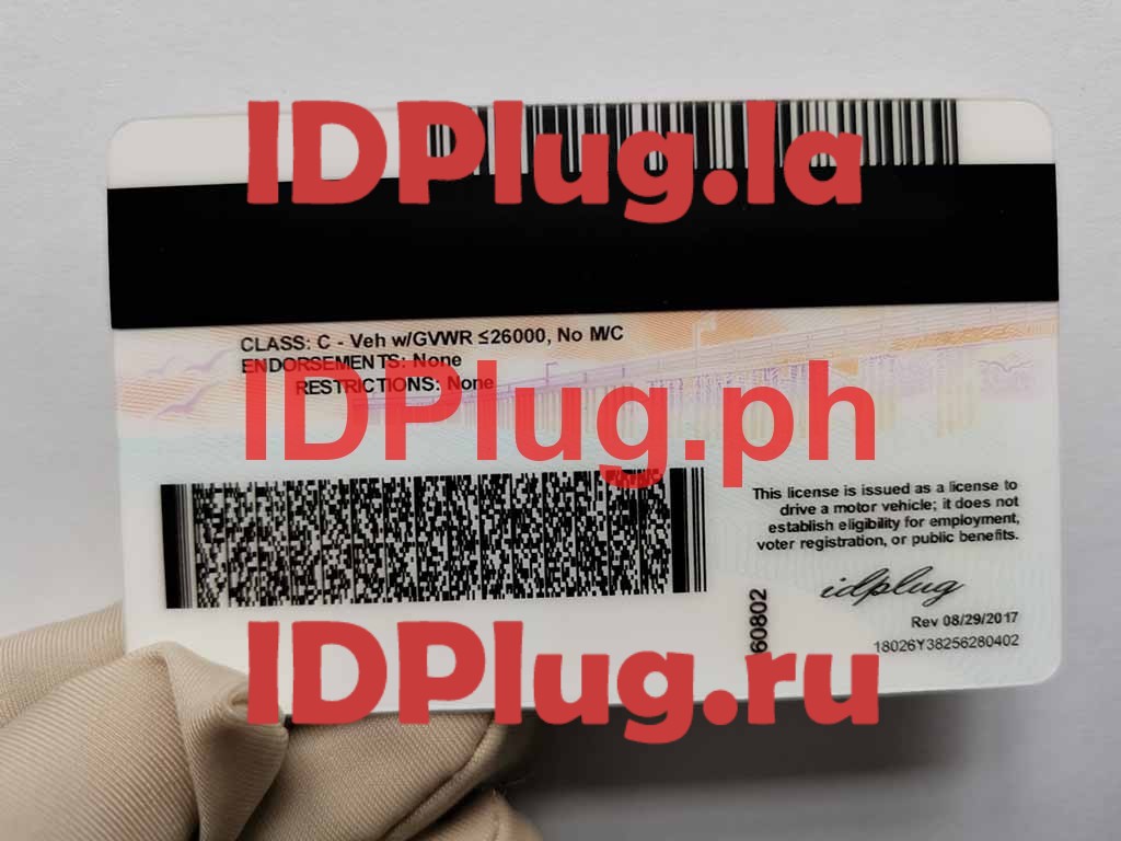 CALIFORINA NEW U21 - Image 2